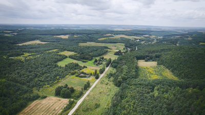 Гаваї на Тернопільщині. Історія села, яке зникає Гаваї на Тернопільщині. Історія села, яке зникає