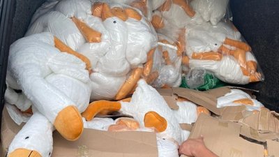 Віз під виглядом гумдопомоги: львівські митники вилучили у водія понад 1500 іграшок Віз під виглядом гумдопомоги: львівські митники вилучили у водія понад 1500 іграшок