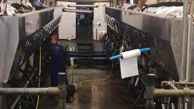 400 корів з Бахмута евакуювали та перевезли на підприємство на Дніпровщині 400 корів з Бахмута евакуювали та перевезли на підприємство на Дніпровщині