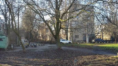 В Одесі збираються спиляти 60 дерев заради паркінгу районного суду — екологи В Одесі збираються спиляти 60 дерев заради паркінгу районного суду — екологи