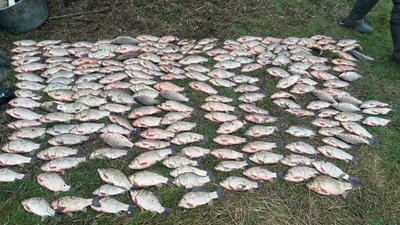 На Миколаївщині рибалка завдав понад 300 тисяч гривень збитків державі — поліція На Миколаївщині рибалка завдав понад 300 тисяч гривень збитків державі — поліція