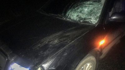 На Миколаївщині у ДТП загинув пішохід