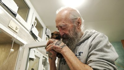 Колишній військовий пілот з Канади доглядає врятованих тварин у Харкові Колишній військовий пілот з Канади доглядає врятованих тварин у Харкові