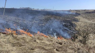 На Тернопільщині паліїв сухої трави прирівнюватимуть до диверсантів На Тернопільщині паліїв сухої трави прирівнюватимуть до диверсантів