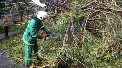 Повалені дерева та пошкоджені дахи будівель: наслідки негоди на Франківщині