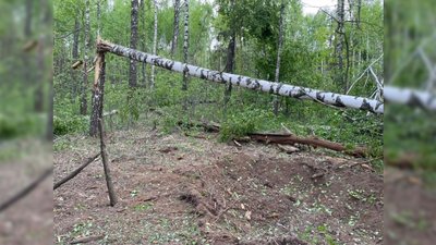 Сеньківка. Місце прильоту