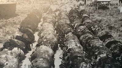 Імена під землею. Історія перепоховання жертв радянського режиму у Дем'яновому Лазі