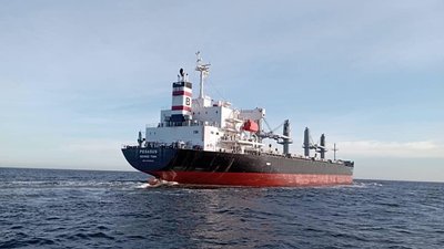До морських портів Одещини зайшли 11 суден