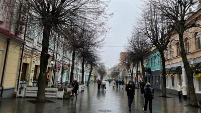 Житомир, погода, природа, грудень 2024 року
