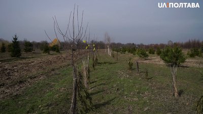 У полтавських парках почали висаджувати дерева