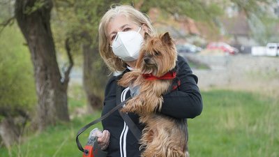 За добу захворювання на COVID-19 зареєстрували у 19 жителів Житомирщини