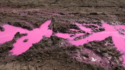 Рожеві калюжі біля Рівного: спеціалісти відібрали проби ґрунту та повітря