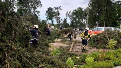 Пошкоджені дахи та повалені дерева: в селі на Волині ліквідовують наслідки буревію Пошкоджені дахи та повалені дерева: в селі на Волині ліквідовують наслідки буревію