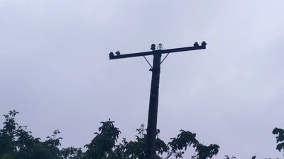 Внаслідок мінометних обстрілів росіянами на Сумщині пошкоджені дві лінії електропередач — поліція