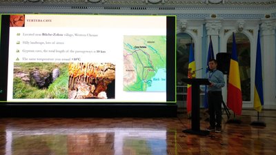 Археологічні пам’ятки трипільської культури, печера Вертеба, Михайло Сохацький