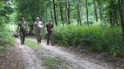 Світлина: Обласне управління лісового та мисливського господарства Світлина: Обласне управління лісового та мисливського господарства