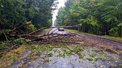 Через негоду на Житомирщині без світла залишилися 53 населені пункти