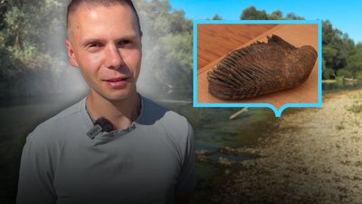 ЗУБ МАМОНТА ЗНАЙШЛИ У РІЧЦІ СТРИЙ