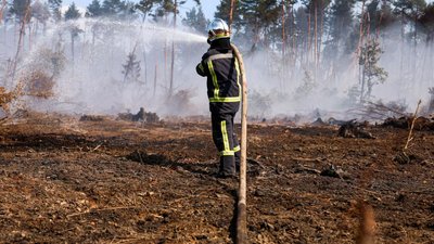 Гасять загоряння лісової підстилки та торфополя на Рівненщині