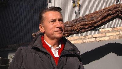 "Синій краб": в Одесі зі старої автівки створили артоб'єкт "Синій краб": в Одесі зі старої автівки створили артоб'єкт