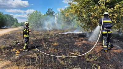 Рятувальники гасять пожежу на Волині