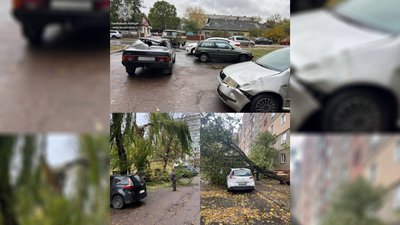 Повалені дерева, пошкоджені дахи, паркани та нема електроенергії: наслідки негоди на Чернігівщині Повалені дерева, пошкоджені дахи, паркани та нема електроенергії: наслідки негоди на Чернігівщині