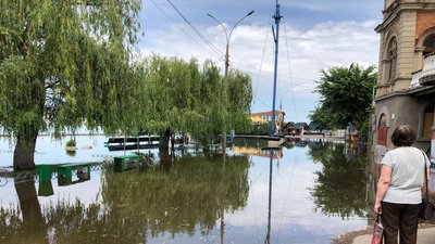 Миколаїв Миколаїв