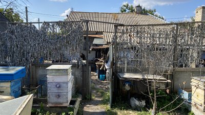Жителька прифронтового села на Донеччині займається бджолярством Жителька прифронтового села на Донеччині займається бджолярством