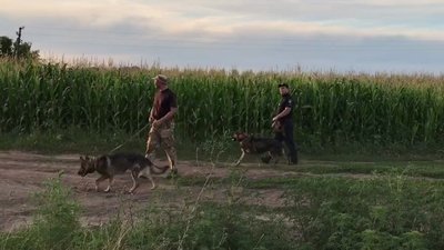 Поліція не перевищила повноважень – ДБР щодо вбивства Романа Скрипника
