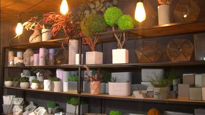 Лучанка створює картини й скульптури з моху