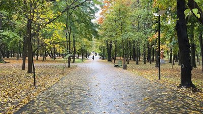 Парк Шевченка у Чернівцях