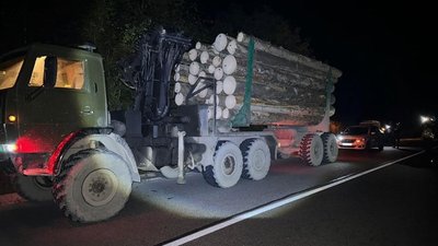 На Закарпатті поліцейські вилучили вантажівку з нелегальною деревиною