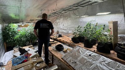 Наркотики, коноплі, збут, виготовлення, прокуратура, кримінал, кокаїн, амфетамін