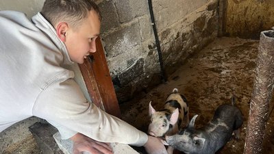 Розводять свиней та ведуть блог: історія подружжя з Вінниччини Розводять свиней та ведуть блог: історія подружжя з Вінниччини