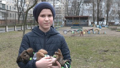 "Якщо не допомагати – вони помруть". Діти з однієї зі шкіл Дніпра зібрали допомогу для тварин "Якщо не допомагати – вони помруть". Діти з однієї зі шкіл Дніпра зібрали допомогу для тварин