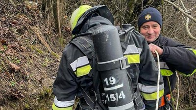 Порятунок собаки Порятунок собаки