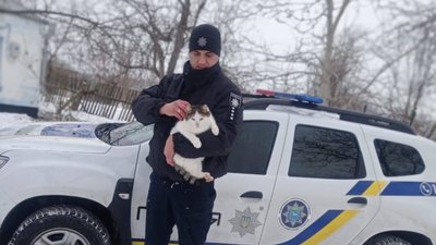У селі на Черкащині дитина викликала поліцію, аби врятувати кота У селі на Черкащині дитина викликала поліцію, аби врятувати кота