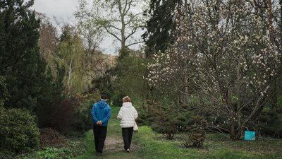 Ботанічний сад Харків