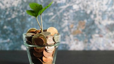 Без податків: громади Прикарпаття втратять близько 300 млн грн за два місяці