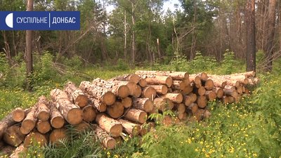 У Слов'янську затримали чоловіка, який крав зрубаний ліс У Слов'янську затримали чоловіка, який крав зрубаний ліс