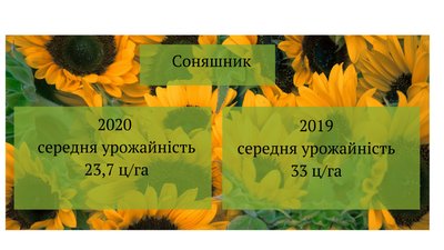Низькі врожаї: аграрії Черкащини продовжують збір зернових культур Низькі врожаї: аграрії Черкащини продовжують збір зернових культур