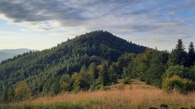 Гора Брустурувата має висоту 1 400 м над рівнем моря Гора Брустурувата має висоту 1 400 м над рівнем моря