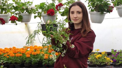 Валентина Кобильник, висаджування квітів Валентина Кобильник, висаджування квітів