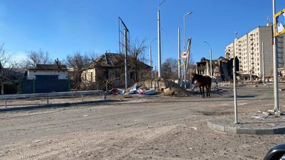 Кінь на Малиновського Кінь на Малиновського
