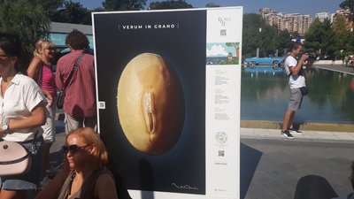 Виставка Одеса Виставка Одеса