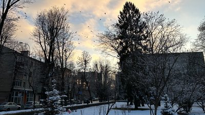 Зимовий день у сквері ім. Тараса Шевченка, грудень 2025 року, Хмельницький