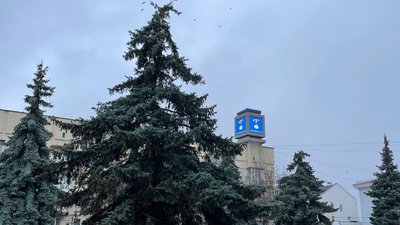 Житомир, погода, природа, грудень 2025 року