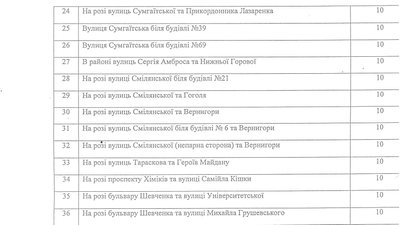 Різдвяні ялинки на Черкащині: де можна купити Різдвяні ялинки на Черкащині: де можна купити