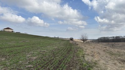 У Полтавській області діє Фонд гарантування кредитів для аграріїв