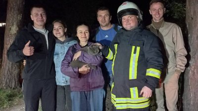 Ірпінські пожежники зняли з дерева жінку та кота, якого вона хотіла врятувати